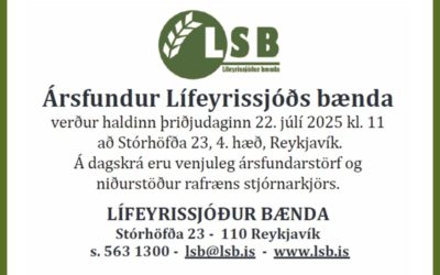 Ársfundur 22. júlí 2025 kl. 11:00